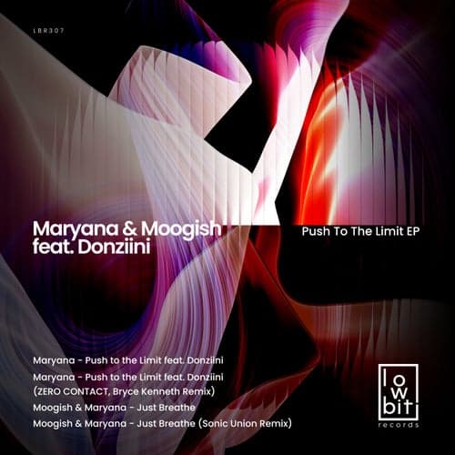 Push to the Limit artwork